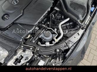 Mercedes E-klasse 450d 4Matic Avantgard Advancd Panorama picture 12