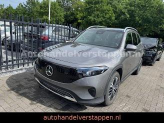 Schadeauto Mercedes EQB 250+ 71KWH Progressive Panorama 2025/5