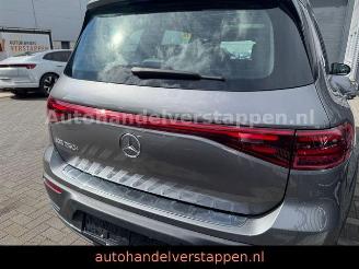 Mercedes EQB 250+ 71KWH Progressive Panorama picture 4