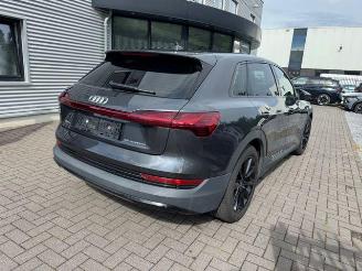 Audi E-tron 55 Quattro 300KW 93KWH Panorama picture 5