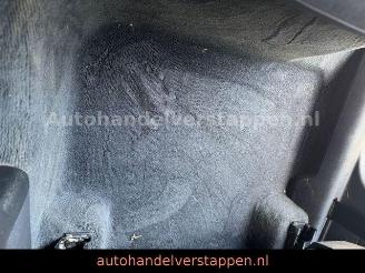 Audi Q3 35 TFSI S-Tronic S line Panorama picture 32