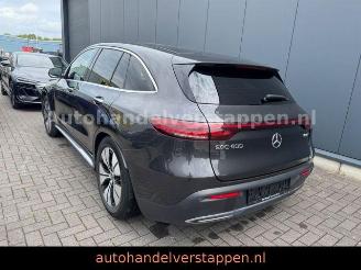 Mercedes EQC 400 4Matic Urban Sport 300KW picture 2