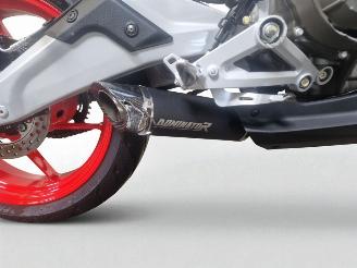 Aprilia  RS 457 picture 11