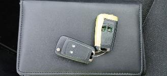 Opel Insignia SPORTS TOURER SW picture 29