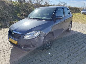 damaged passenger cars Skoda Fabia 1.2 Classic 2008/12