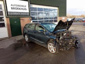Sloopauto Skoda Enyaq Enyaq iV (NYAC), SUV, 2021 80 2021/5