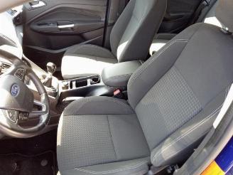 Ford C-Max C-Max (DXA), MPV, 2010 / 2019 1.0 Ti-VCT EcoBoost 12V 125 picture 23