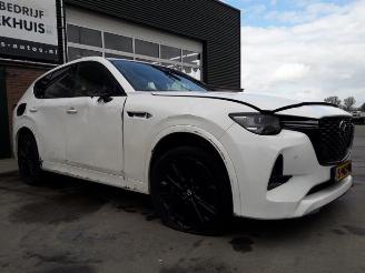 Mazda CX-60 CX-60 (KH), SUV, 2022 2.5 e-SkyActiv PHEV picture 9