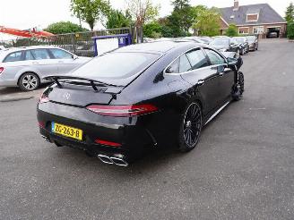 Salvage car Mercedes AMG AMG GT 2019/5
