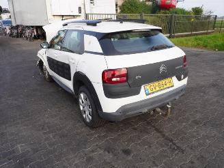Citroën C4 cactus 1.2 PureTech picture 2