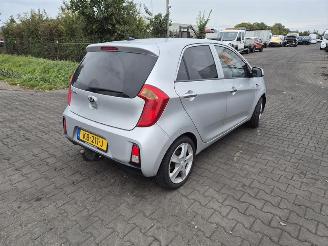 disassembly passenger cars Kia Picanto 1.0 12V 2016/8
