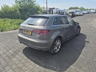 disassembly passenger cars Audi A3 Sportback 1.6 TDi 2013/7