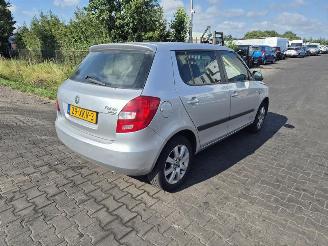 disassembly passenger cars Skoda Fabia 1.2 TSi 2012/7