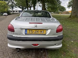 Peugeot 206  picture 4