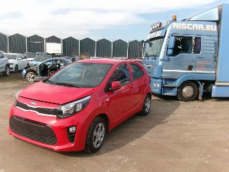 uszkodzony samochody osobowe Kia Picanto 1.0  Easy - Airco 2021/1