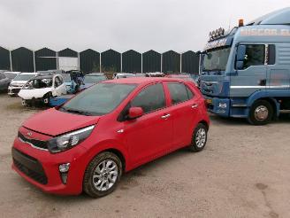 Damaged car Kia Picanto 1.0 Lounge  5 Drs Airco 2022/3