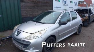 disassembly passenger cars Peugeot 206 206+ (2L/M), Hatchback, 2009 / 2013 1.4 XS 2010/11
