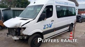 rozbiórka samochody osobowe Mercedes Sprinter Sprinter 3,5t (906.73), Bus, 2006 / 2020 316 NGT 2016/8