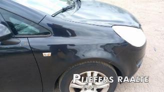 Opel Corsa Corsa D, Hatchback, 2006 / 2014 1.4 16V Twinport picture 10