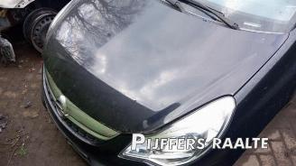 Opel Corsa Corsa D, Hatchback, 2006 / 2014 1.2 16V LPG picture 11
