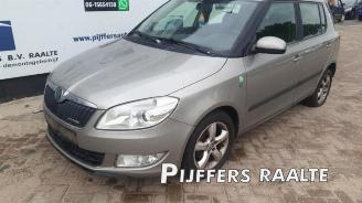 Skoda Fabia Fabia II (5J), Hatchback 5-drs, 2006 / 2014 1.2 TDI 12V Greenline picture 2