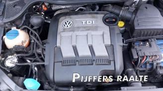 Volkswagen Polo Polo V (6R), Hatchback, 2009 / 2017 1.2 TDI 12V BlueMotion picture 28