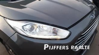 Ford Fiesta Fiesta 6 (JA8), Hatchback, 2008 / 2018 1.0 SCI 12V 80 picture 16