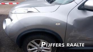 Nissan Juke Juke (F15), SUV, 2010 / 2019 1.6 16V picture 8