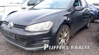 Volkswagen Golf Golf VII (AUA), Hatchback, 2012 / 2021 1.6 TDI 16V picture 3