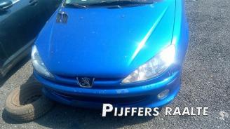 Peugeot 206 206 SW (2E/K), Combi, 2002 / 2007 1.6 16V picture 3