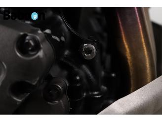 Triumph Tiger 1200 Rally Pro picture 23