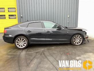 Audi A5 A5 Sportback (8TA), Liftback, 2009 / 2017 2.0 TDI 16V picture 2