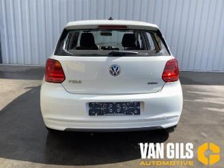 Vrakbiler auto Volkswagen Polo Polo V (6R), Hatchback, 2009 / 2017 1.0 TSI 12V BlueMotion 2016/10