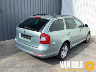Skoda Octavia Octavia Combi (1Z5), Combi 5-drs, 2004 / 2013 2.0 TDI PDF picture 7