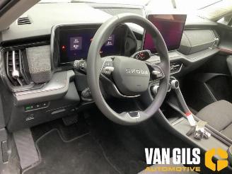 Skoda Kodiaq Kodiaq (PSAC), SUV, 2024 1.5 TSI PHEV 16V picture 19