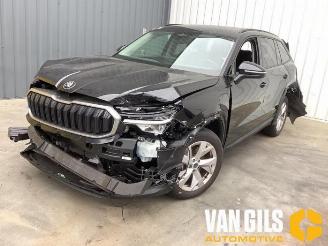 Skoda Kodiaq Kodiaq (PSAC), SUV, 2024 1.5 TSI PHEV 16V picture 25