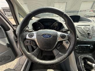 Ford C-Max 1.6 EcoBoost Titanium picture 17
