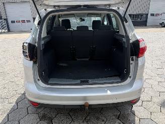 Ford C-Max 1.6 EcoBoost Titanium picture 8