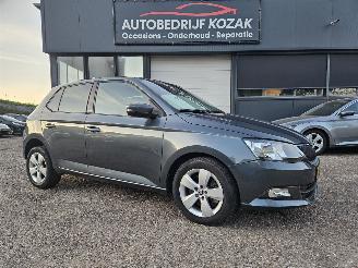 Ocazii autoturisme Skoda Fabia 1.2 TSI Ambition AUTOMAAT CRUISE PDC 2016/11