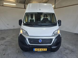 Fiat E-Ducato bd E-DUCATO picture 2