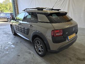 Citroën C4 cactus 1.2 PureTech Business picture 5