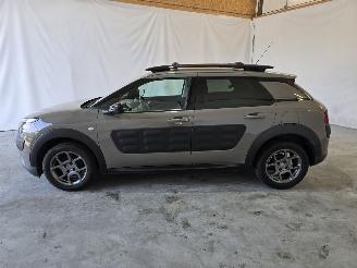 Citroën C4 cactus 1.2 PureTech Business picture 4