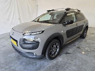 Citroën C4 cactus 1.2 PureTech Business picture 3
