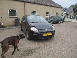 Fiat Punto Evo 0.9 TwinAir Street NAP picture 1