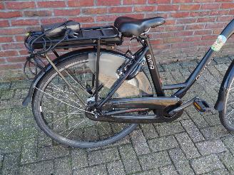 Overige  Hollandia Mimo picture 7