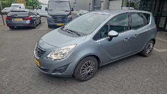 disassembly passenger cars Opel Meriva 1.4 Berlin 2013/6