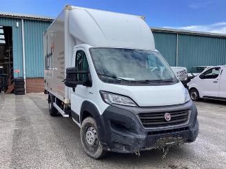 Fiat Ducato Ducato (250), Van, 2006 2.3 D 130 Multijet AdBlue picture 3