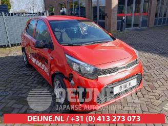 Purkuautot passenger cars Kia Picanto Picanto (JA), Hatchback, 2017 1.0 12V 2019/2