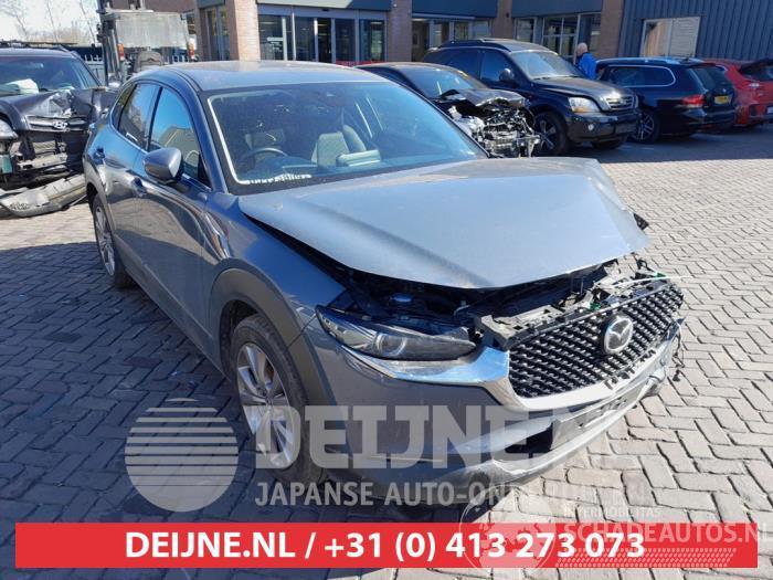 Mazda CX-30 CX-30 (DM), SUV, 2019 2.0 e-SkyActiv-G 122 16V