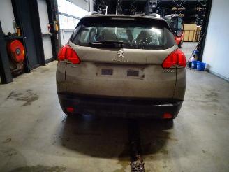 Peugeot 2008 1.2 THP picture 2
